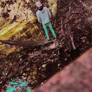 Meet your Posher, Toby